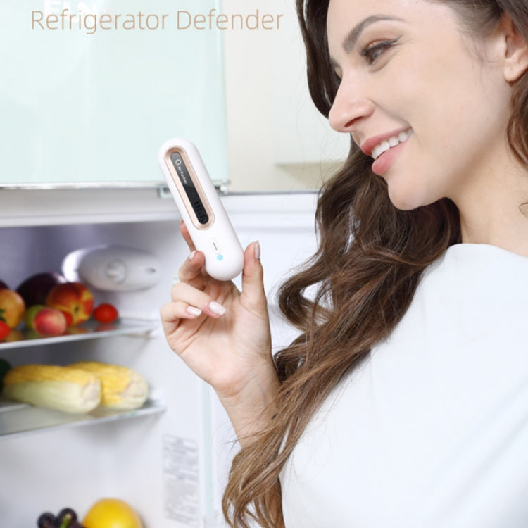 Home Refrigerator Deodorizer